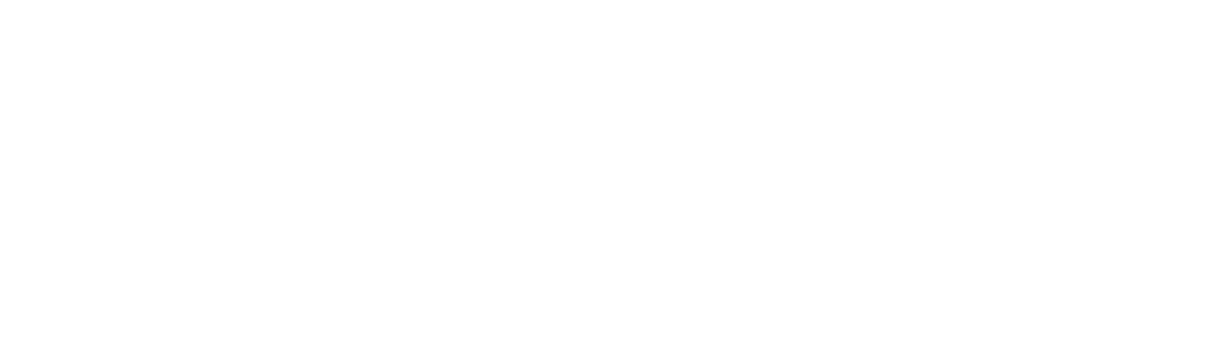 Phoenix Connect